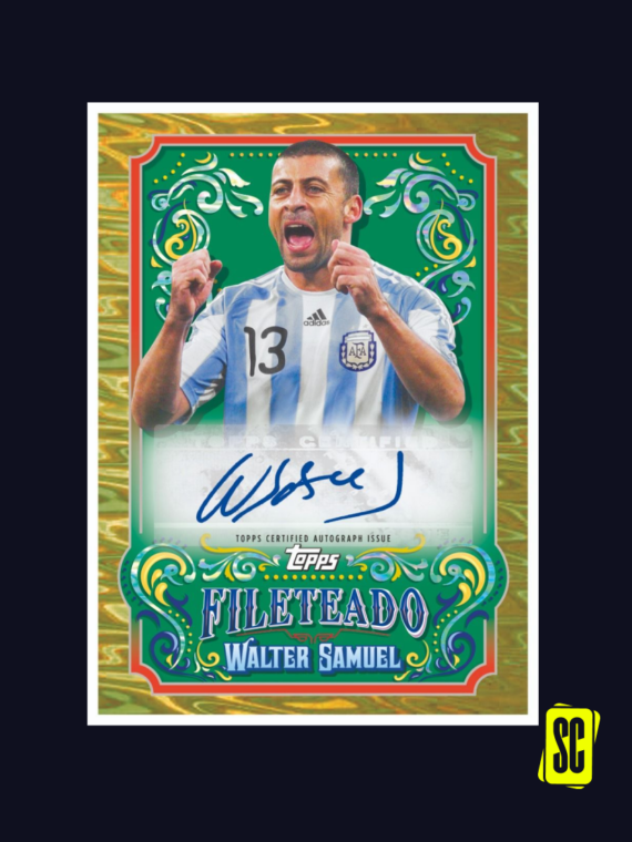 SAMUEL AUTO 2023 FILETEADO ARGENTINA