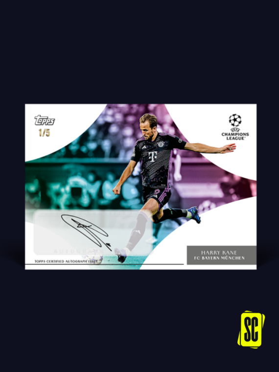 Simplicidad-2023-24-5