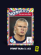 Erling-Haaland-Euro-2024-Living-Set