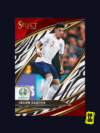 Sancho Select EURO 2020 Zebra