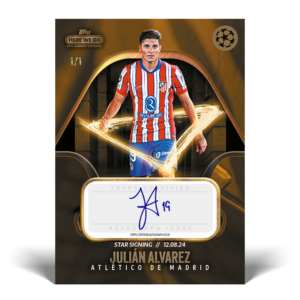 julia_n_a_lvarez_p1_auto_1